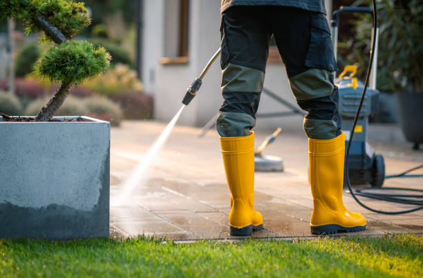 Local Pressure Washing Services in Palm Beach Gardens, FL